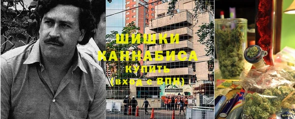 прущая мука Инсар