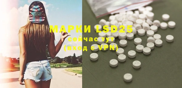 прущая мука Инсар