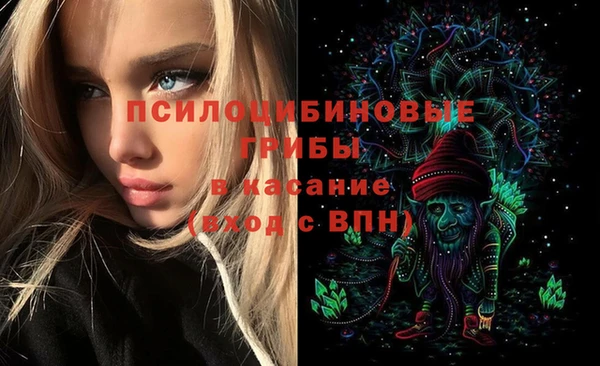 прущая мука Инсар