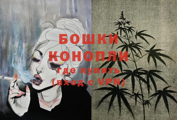 прущая мука Инсар