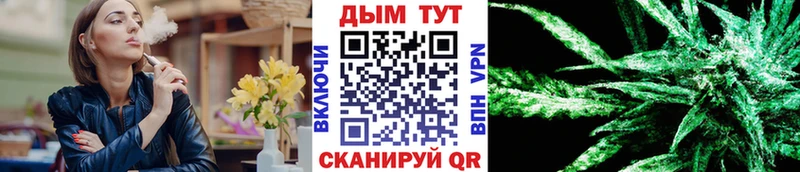 Бошки марихуана AK-47  Купить закладки  Губаха 